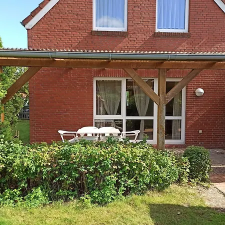 Friesenrose 45237 * Ditzum