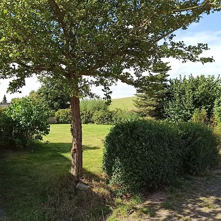 Vakantiehuis Friesenrose 45237 *